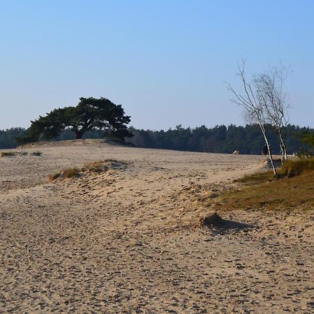 Huisje Weideblik Villa Doornspijk Eksteriør bilde